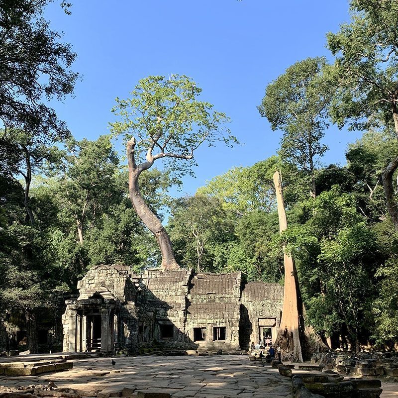 ta prohm cambodia